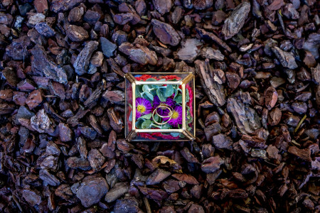 album01